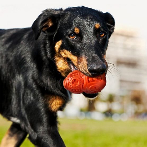 Crvena žvakaća lopta za pse PJ-046