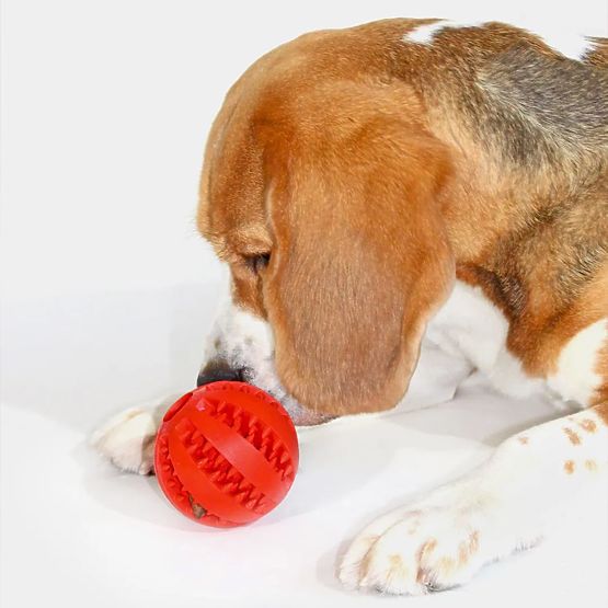 Crvena žvakaća lopta za pse PJ-090