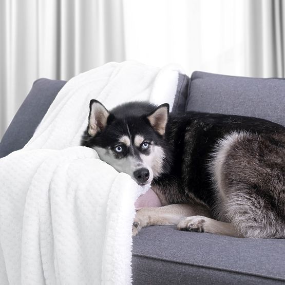 Deka SHLEEPY bijela boja žakardno utisnuta klasični stil 170x210