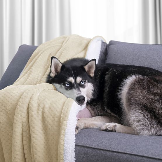 Deka SHLEEPY boja bež jacquard klasični stil 130x180