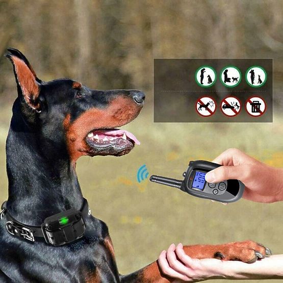 ELEKTRIČNI TRENING OVRATNIK ZA PSA pj-098