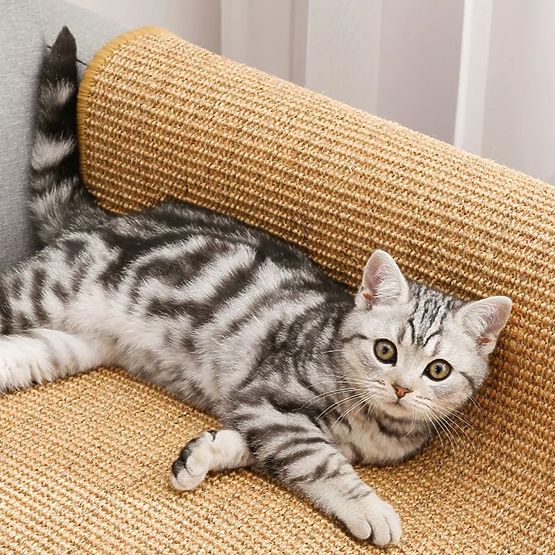 GREBALICA PODLOGA ZA MAČKU 60x40cm 332494