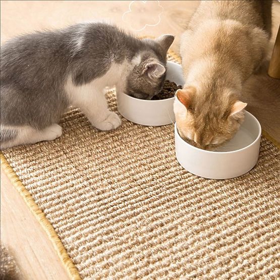 GREBALICA PODLOGA ZA MAČKU 60x40cm 332494