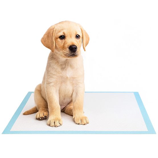 Higijenske podloge za životinje BARRY 60x90 50 kom