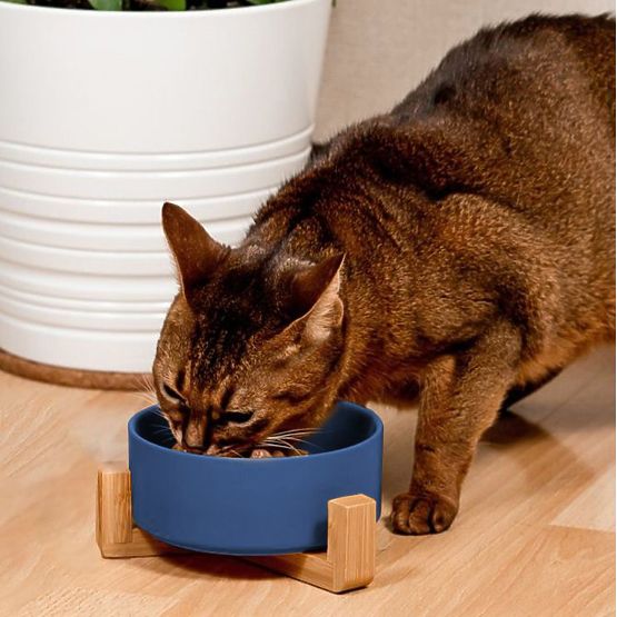 Keramička zdjelica za psa ili mačku plava PJ-033