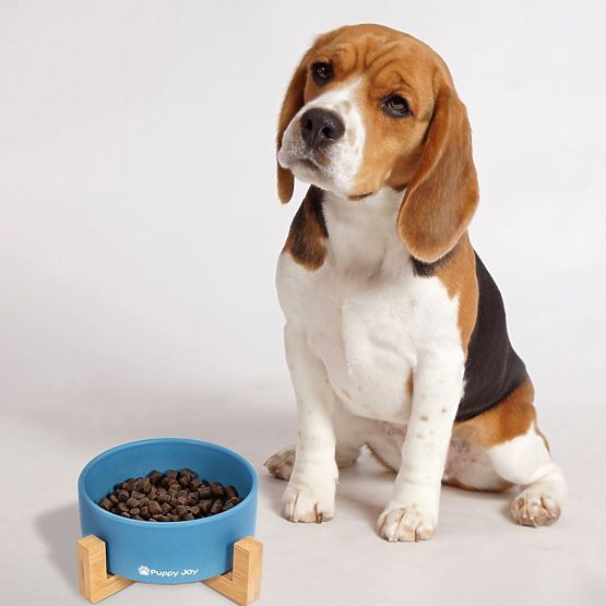 Keramička zdjelica za psa ili mačku plava PJ-033