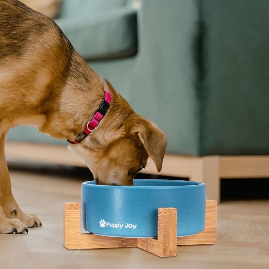 Keramička zdjelica za psa ili mačku plava PJ-033