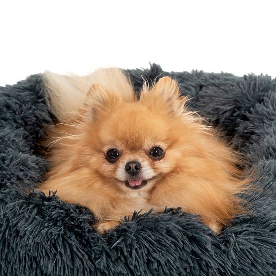 KREVET ZA PSA MAČKU PJ-004 TAMNO SIVA L