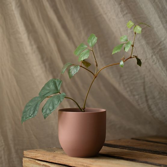 Lončanica SHIRE boja puder ružičasta moderni stil za interijer ameliahome