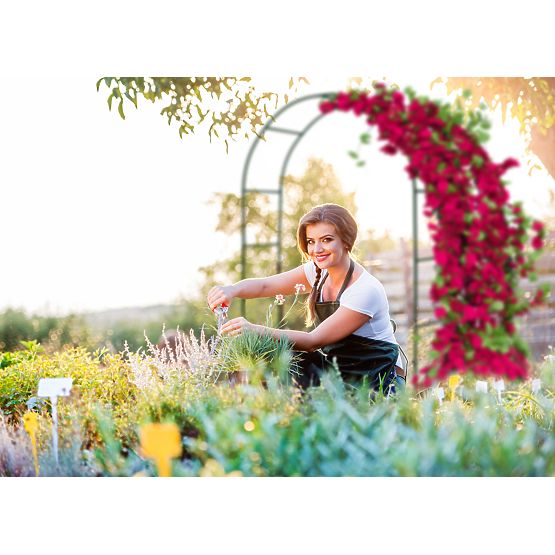 Metalna pergola luk crna 240 cm