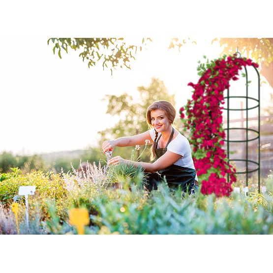 Metalna pergola stup tamno zelena 190 cm