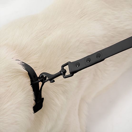 Povodac i ogrlica za psa PJ-075 crna L