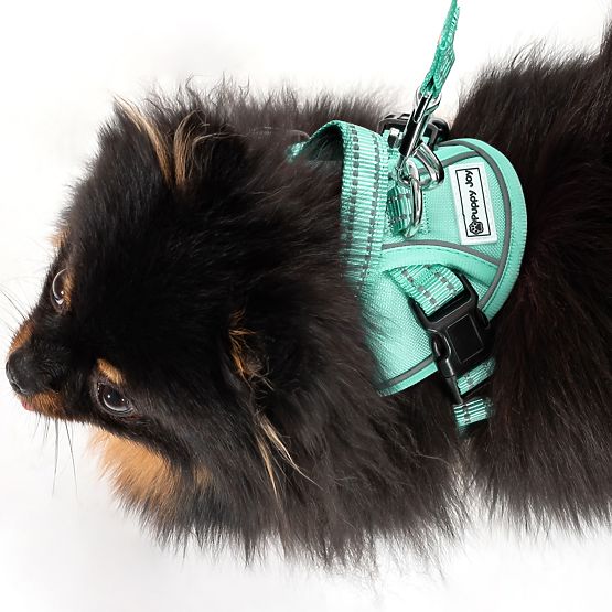 Povodac i pojas za psa PJ-049 zelena XS