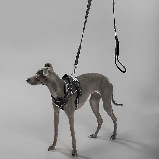 Povodac i pojas za psa PJ-051 crna S