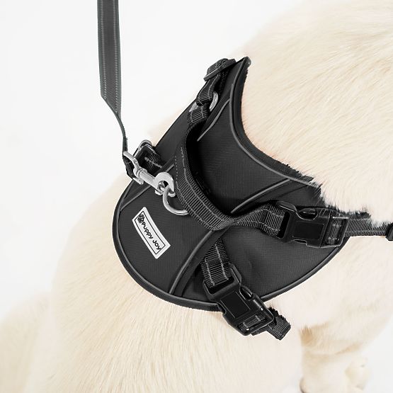 Povodac i pojas za psa PJ-059 crna L