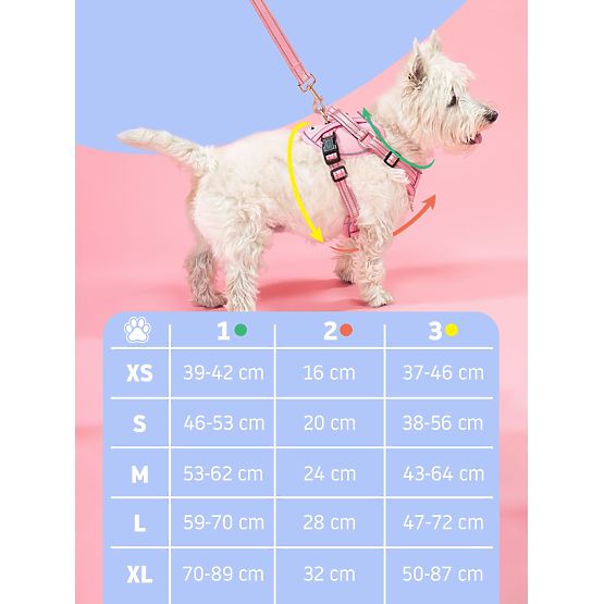 Povodac i pojas za psa PJ-062 plava L