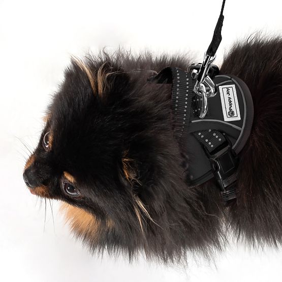 Povodac i uprtač za psa PJ-047 crna XS