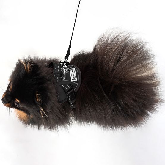 Povodac i uprtač za psa PJ-047 crna XS