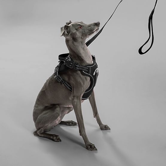 Povodac i uprtač za psa PJ-055 crna M