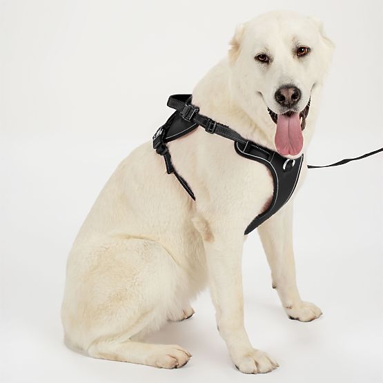 Povodac i uprtač za psa PJ-063 crna XL