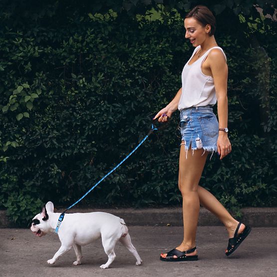 Reflektirajući povodac i ogrlica za psa PJ-037 plava