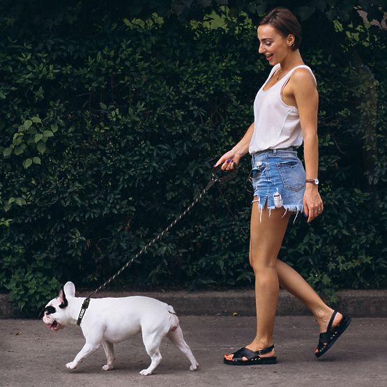 Reflektirajući povodac i ogrlica za psa PJ-091 crna