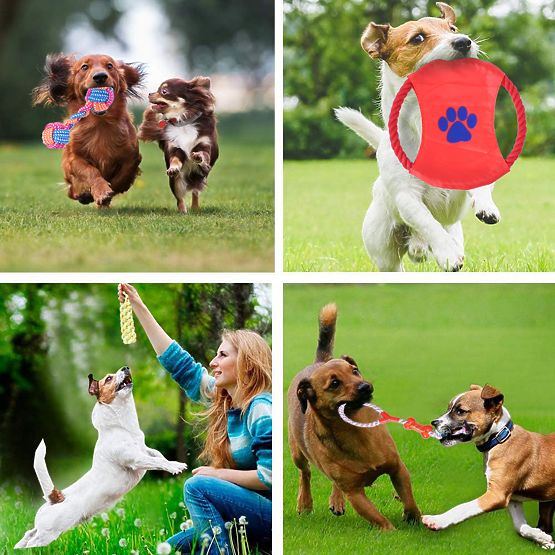 Set od 10 igračaka za pse DYLAN za povlačenje