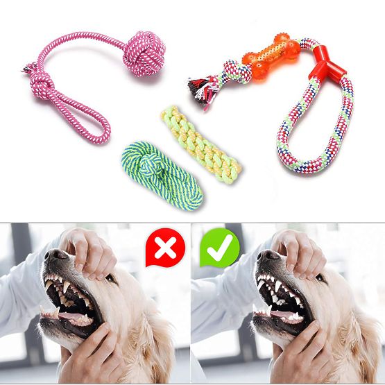 Set od 10 igračaka za pse DYLAN za povlačenje