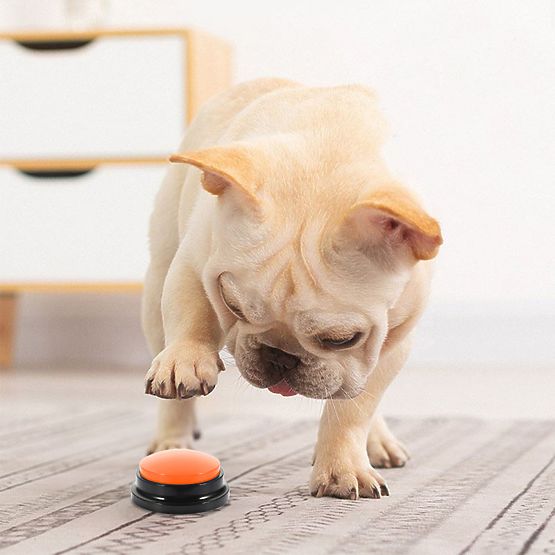 Set od 4 komunikacijska gumba za psa TALKER