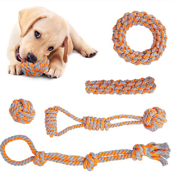 Set povlačnih igračaka za pse SPANKY 5 komada