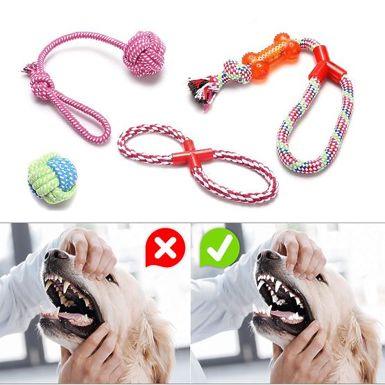 Set povlačnih igračaka za pse SPANKY 5 komada