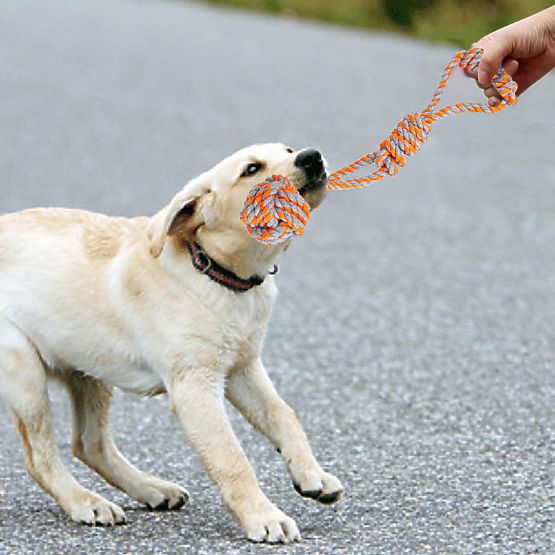 Set povlačnih igračaka za pse SPANKY 5 komada