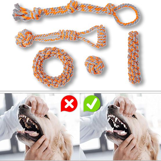 Set povlačnih igračaka za pse SPANKY 5 komada