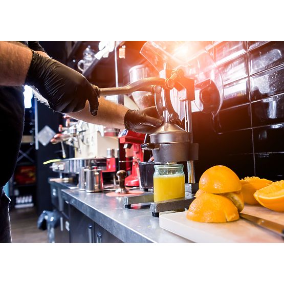 Sokovnik za citruse i šipak Verna