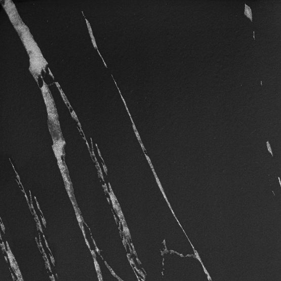 Stalak za cvijeće Mogren crni mramor