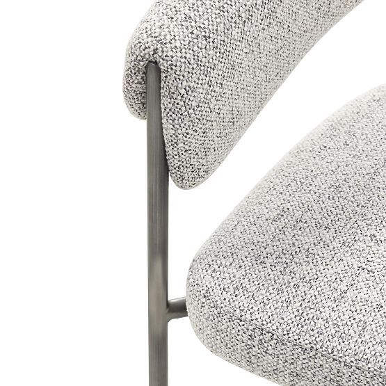 Tapecirana stolica Portia siva