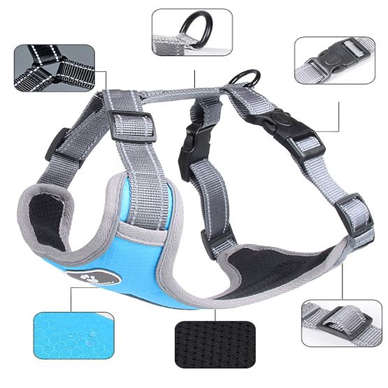 Trening uprtač za psa ASTRO plavi veličina S