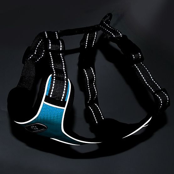 Trening uprtač za psa ASTRO plavi veličina S