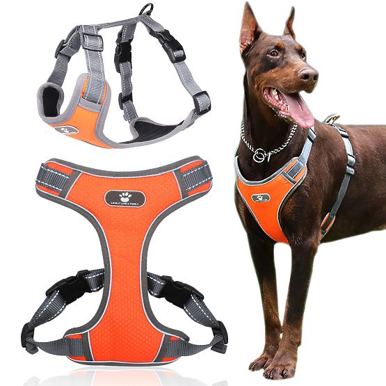 Trening uprtači za pse ASTRO narančasti veličina XL