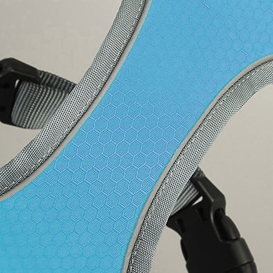 Treningni pojas za pse ASTRO plavi veličina L