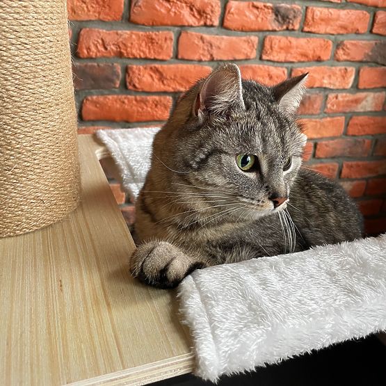 Veliko grebalica za mačke Bež 255-265cm P70503