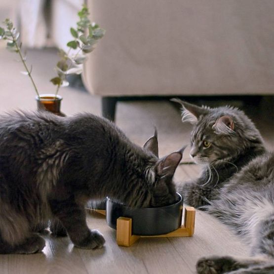 ZDJELA ZA HRANU I VODU ZA ŽIVOTINJE CRNA 331579