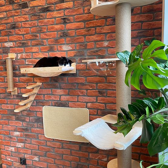 ZIDNI GREBALICA ZA MAČKE 332526