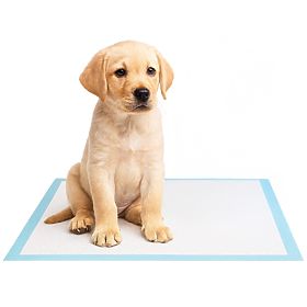 Higijenske podloge za životinje BARRY 60x90 50 kom