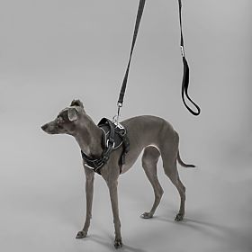 Povodac i uprtač za psa PJ-055 crna M