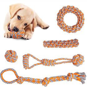 Set povlačnih igračaka za pse SPANKY 5 komada