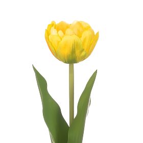 Umjetni cvijet TULIPI žute boje modernog stila ameliahome